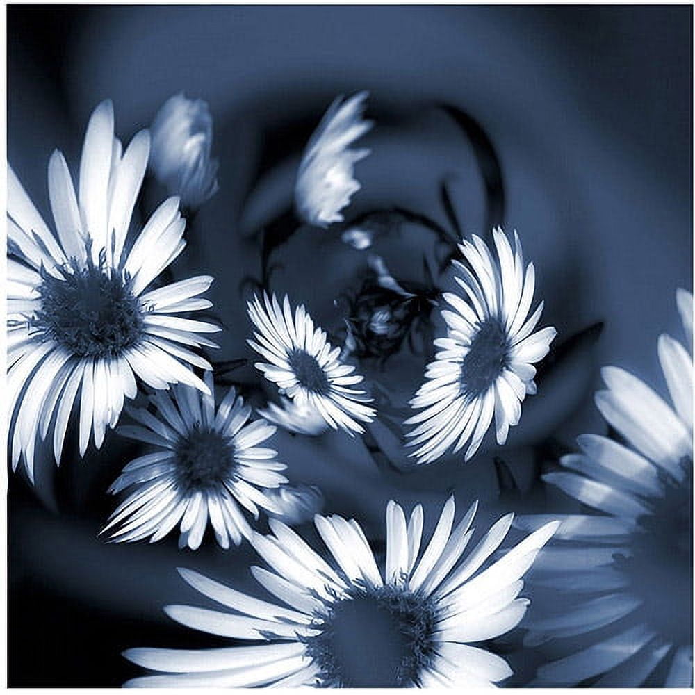 Trademark Art "Dancing Flowers" Canvas Art by Philippe Sainte-Laudy