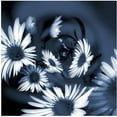 thumbnail image 1 of Trademark Art "Dancing Flowers" Canvas Art by Philippe Sainte-Laudy, 1 of 3