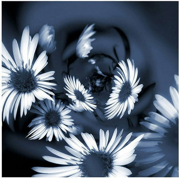 Trademark Art "Dancing Flowers" Canvas Art by Philippe Sainte-Laudy