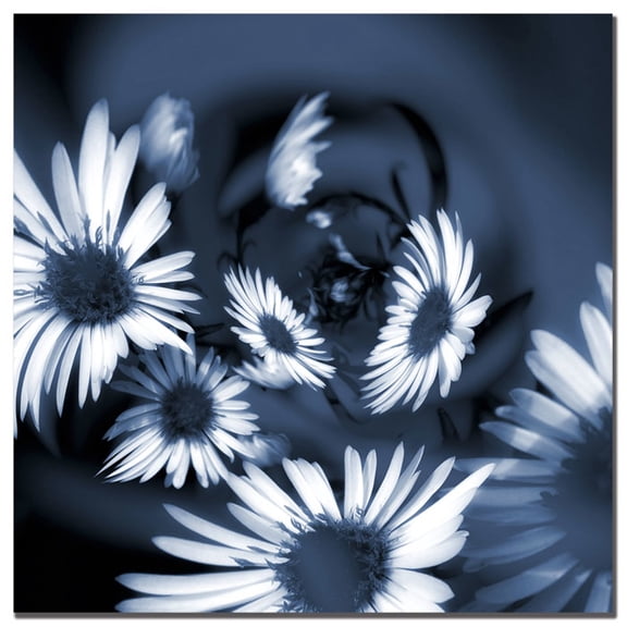 Trademark Art "Dancing Flowers" Canvas Art by Philippe Sainte-Laudy