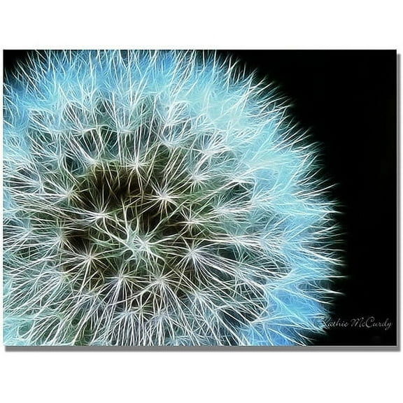 Trademark Art "Dandelion Seed Head Full" Canvas Art by Kathie McCurdy