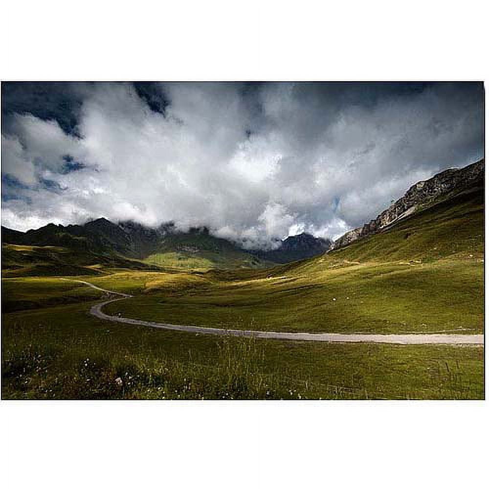 Trademark Art "Dark Green" Canvas Art by Philippe Sainte-Laudy