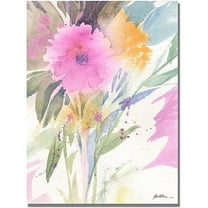 Trademark Art "Deep Pink Haze" Canvas Art by Shelia Golden