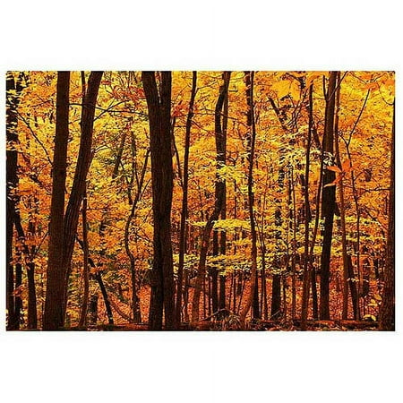 Trademark Art "Delicious Autumn" Canvas Art by CATeyes
