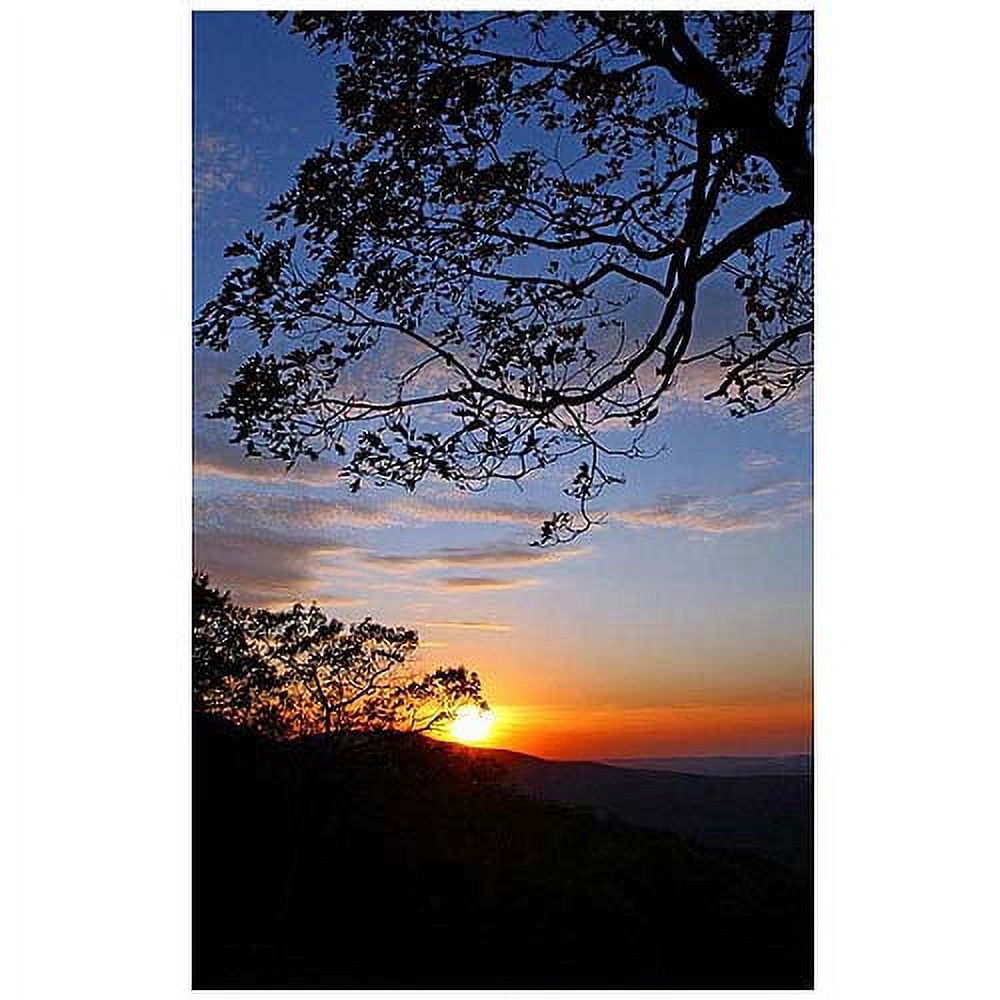 Trademark Art "Drip with Sunset" Canvas Art by CATeyes, 30x47