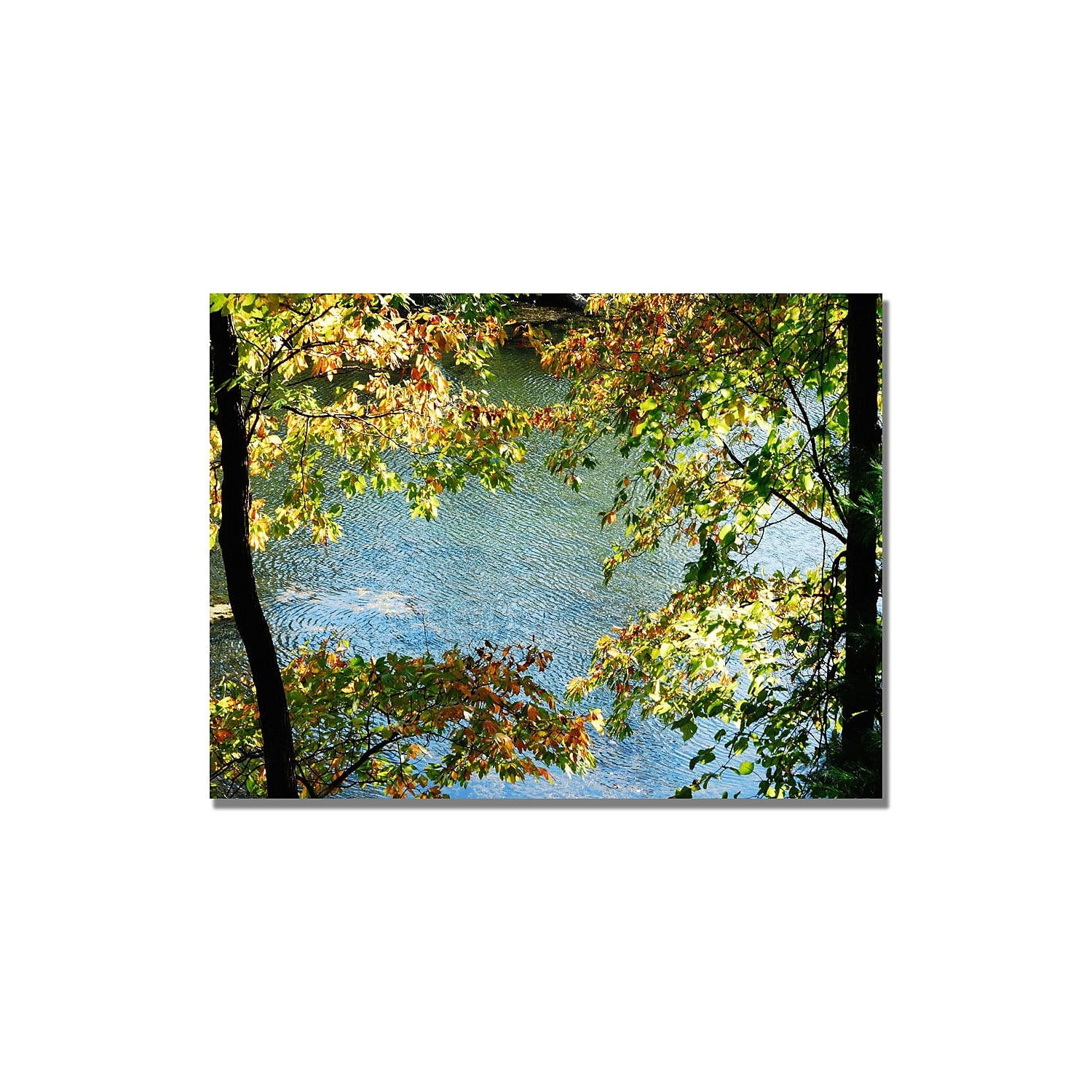 Trademark Art "Early Fall Along the River" Canvas Art by Kurt Shaffer