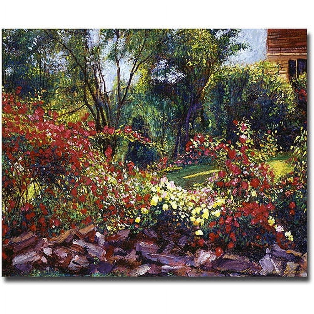 Trademark Art "Evening Roses" Canvas Wall Art by David Lloyd Glover