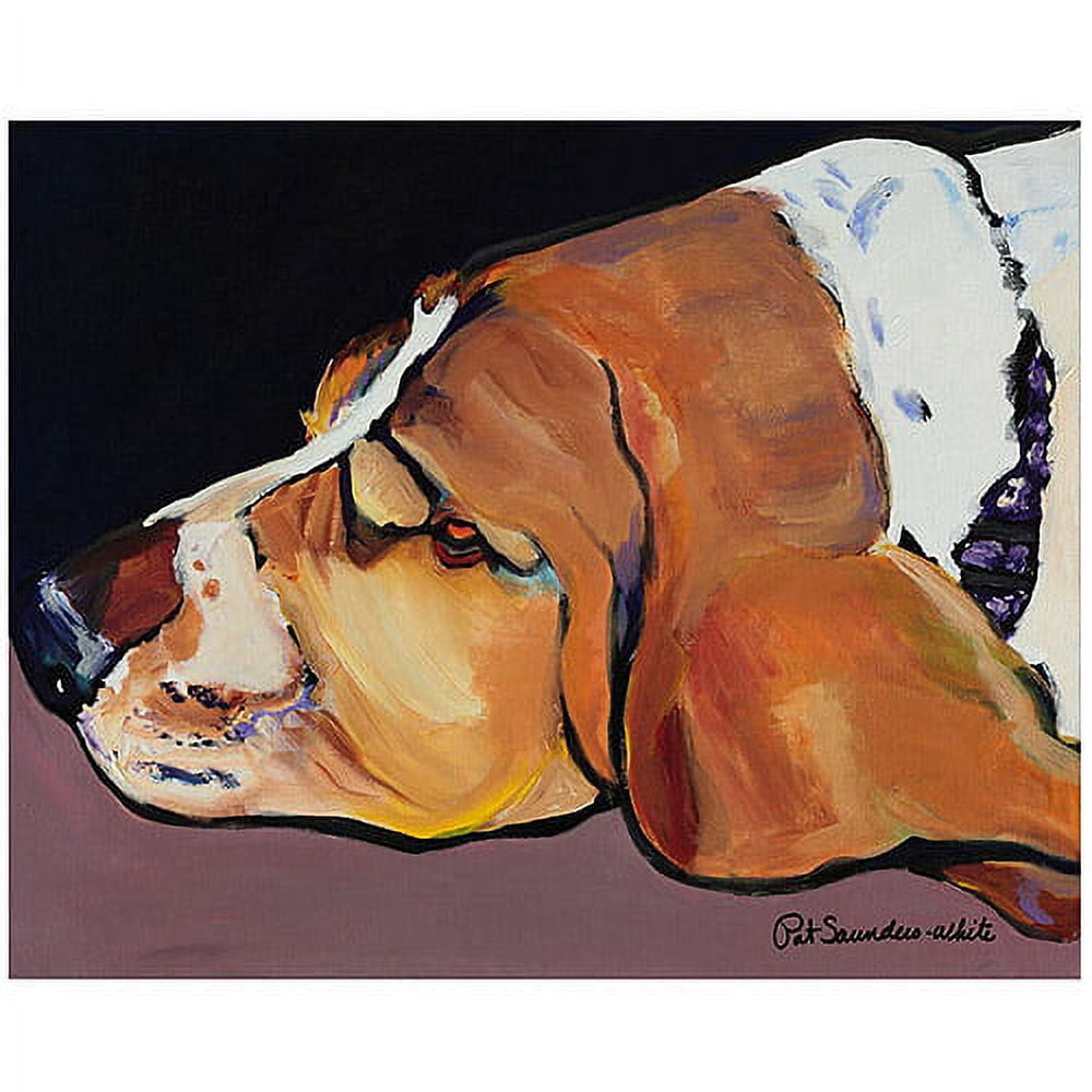 Trademark Art "Farley" Canvas Wall Art by Pat Saunders-White