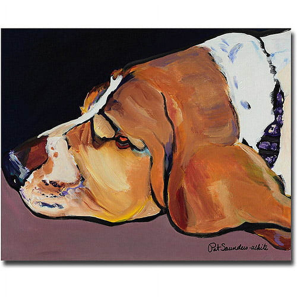 Trademark Art "Farley" Canvas Wall Art by Pat Saunders-White