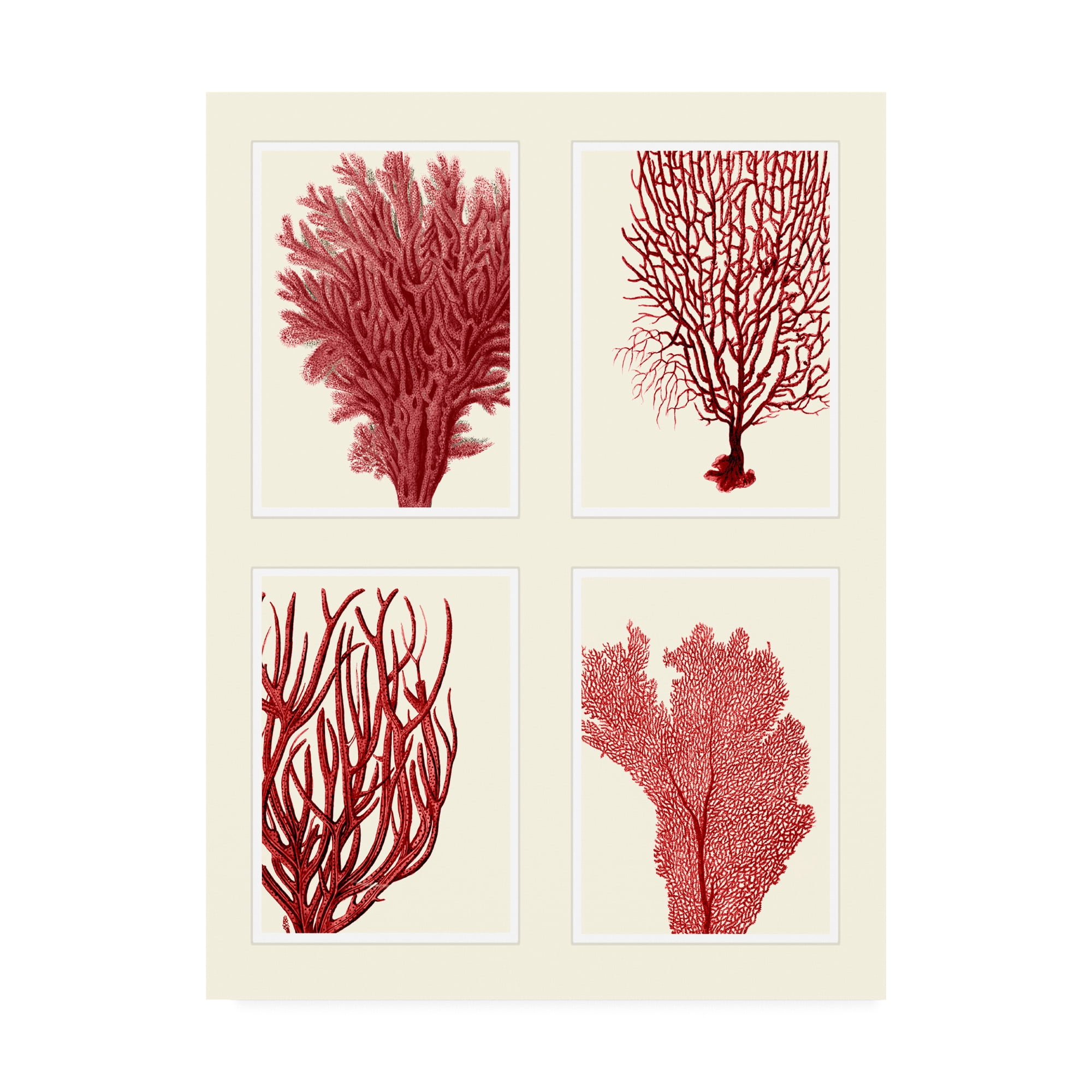 Trademark Art Floral Flowers Painting, by Fab Funky
