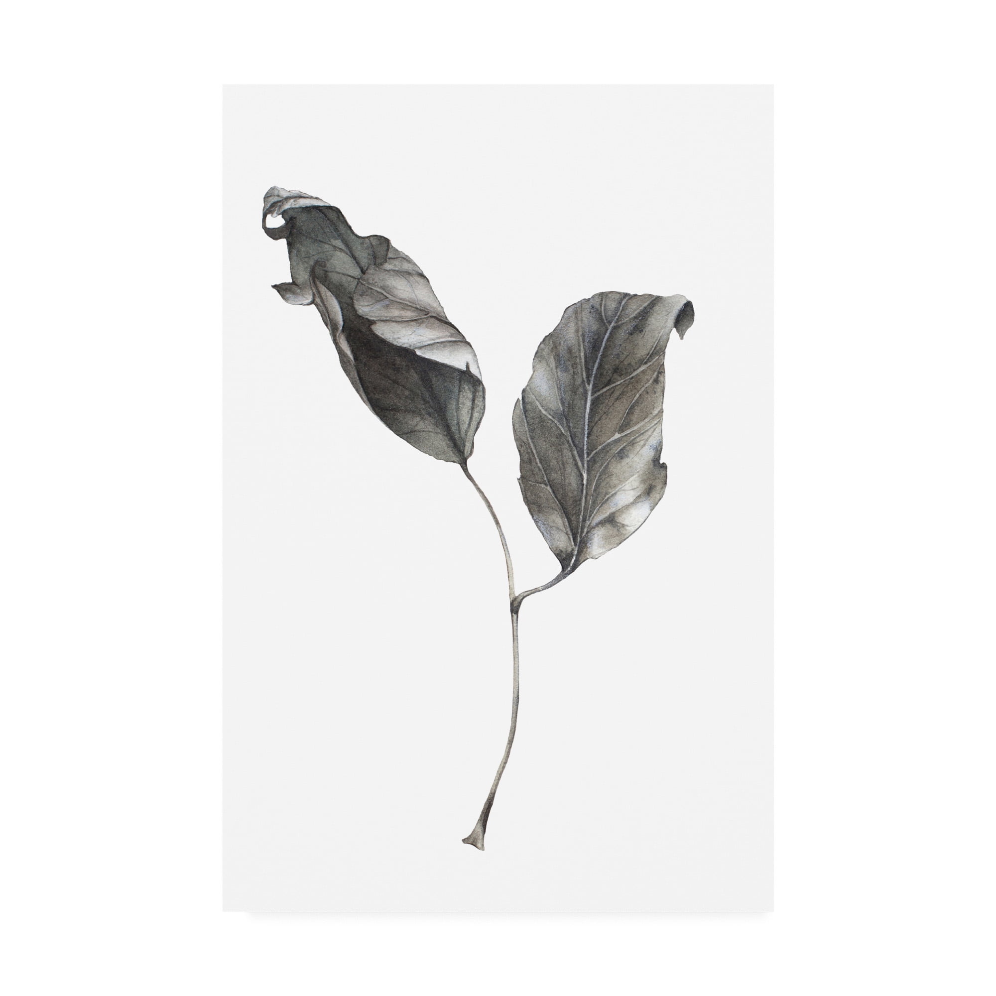 Trademark Art Floral Flowers Painting, by Incado
