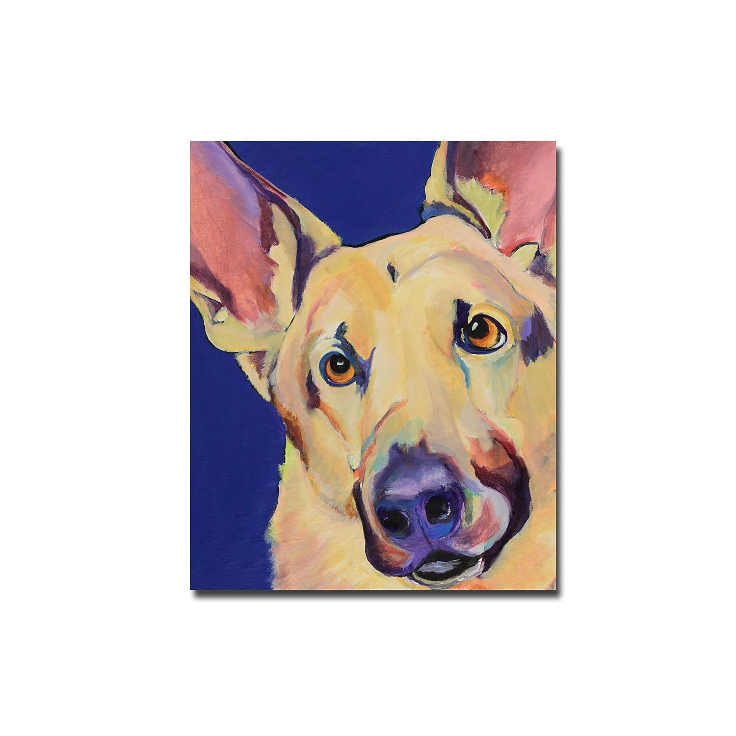 Trademark Art "Freida" Canvas Wall Art by Pat Saunders-White