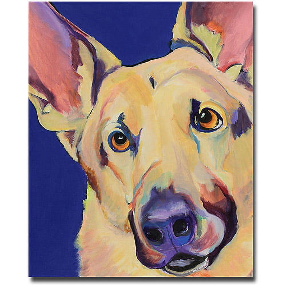 Trademark Art "Freida" Canvas Wall Art by Pat Saunders-White