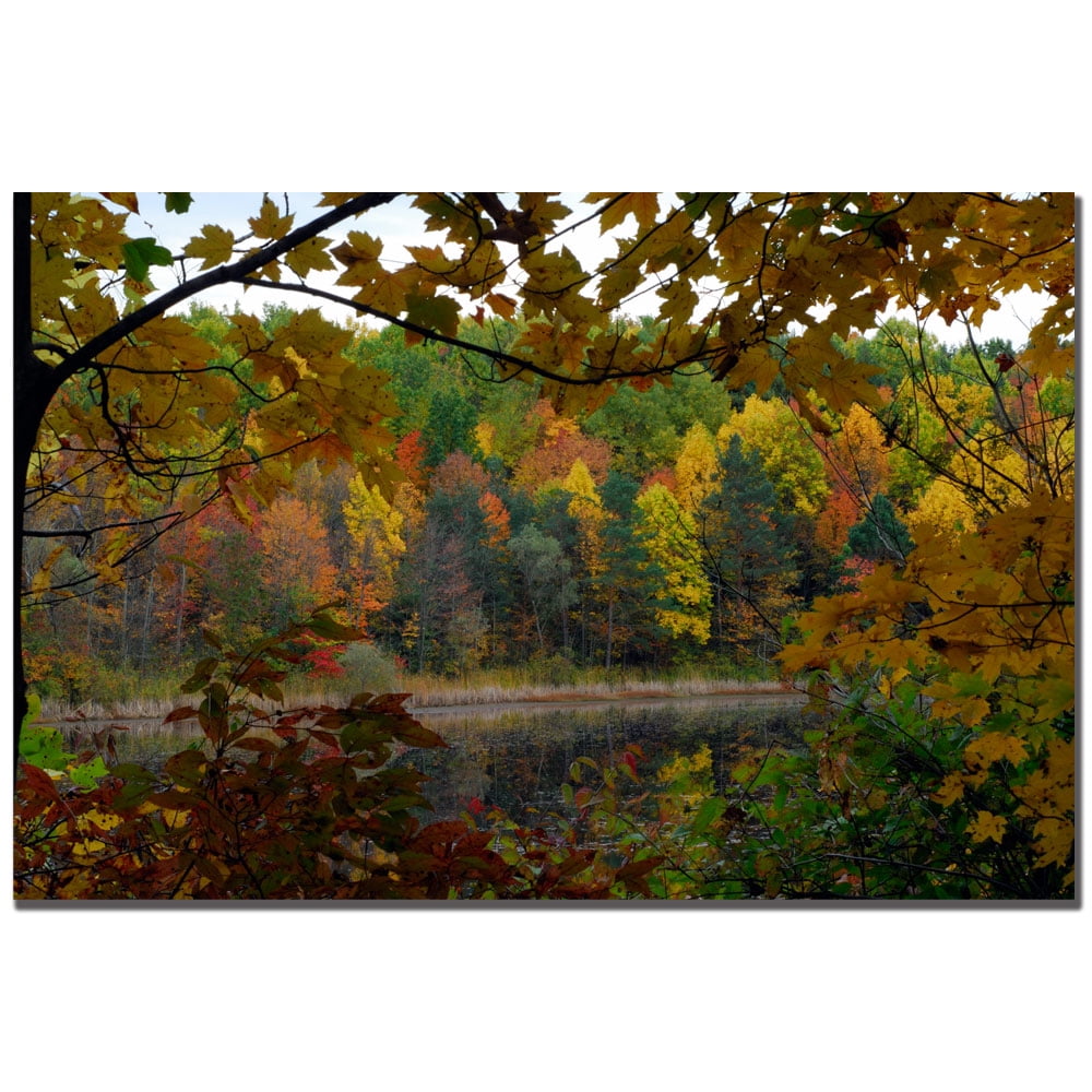 Kurt Shaffer 'Full Color Fall' Canvas Art 16 x 24