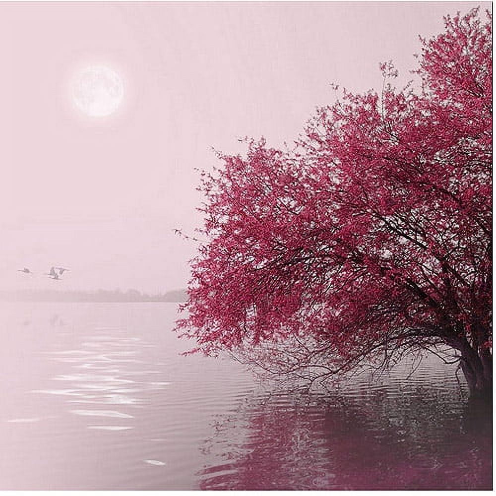 Philippe Sainte-Laudy Full Moon on the Lake Pink Canvas Art