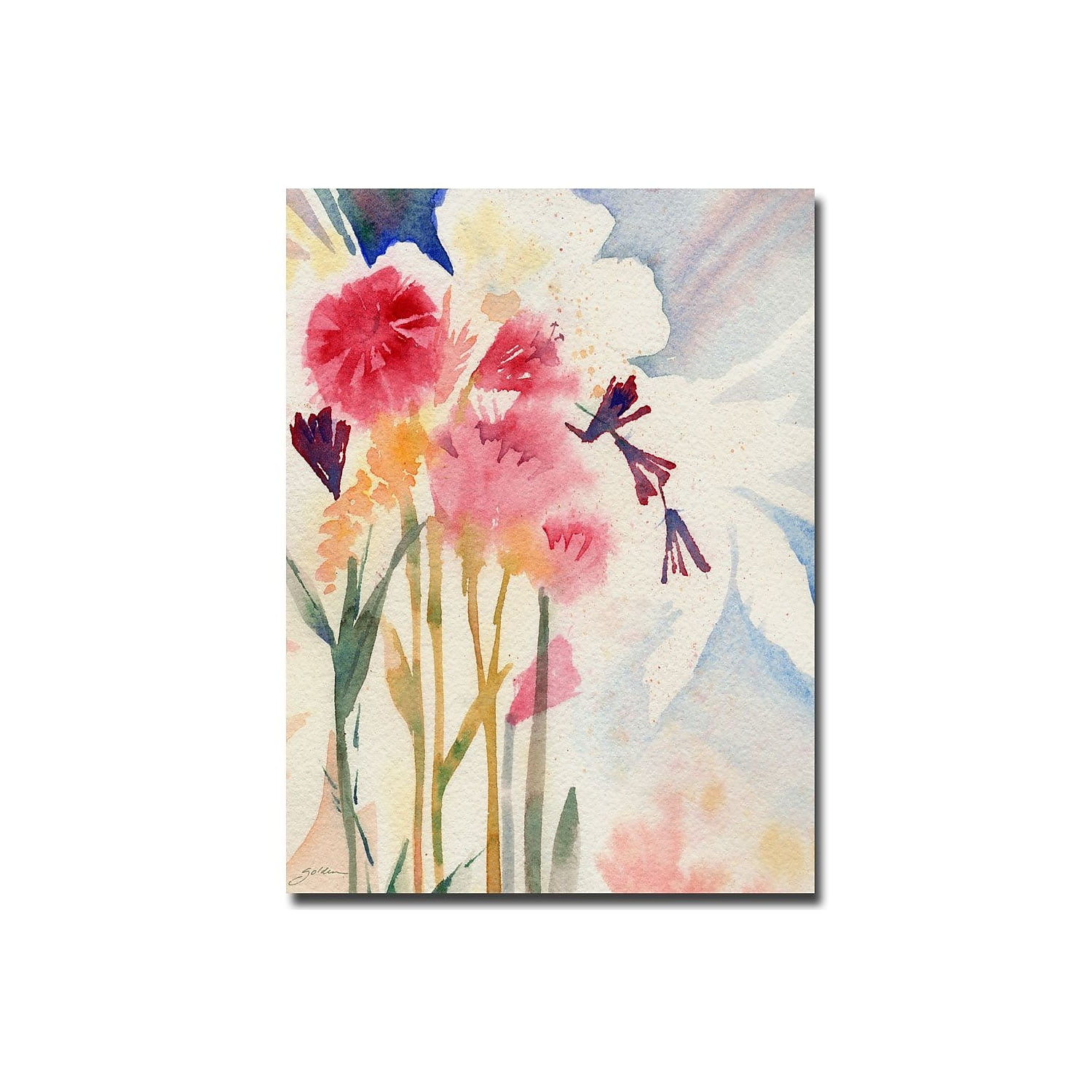 Trademark Art "Garden Shadows" Canvas Art by Sheila Golden