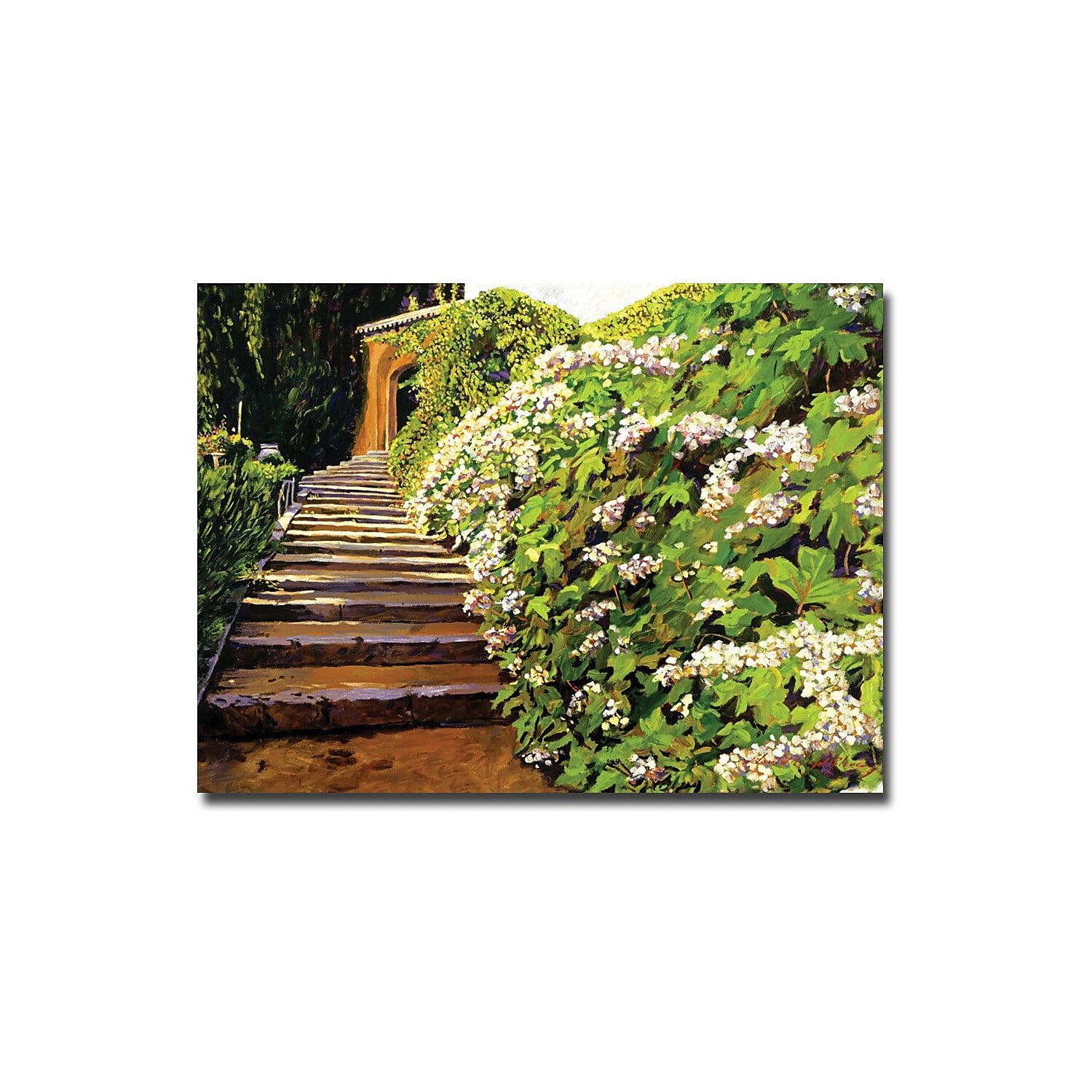 Trademark Art "Garden Staiway Tuscany" Canvas Wall Art by David Lloyd Glover