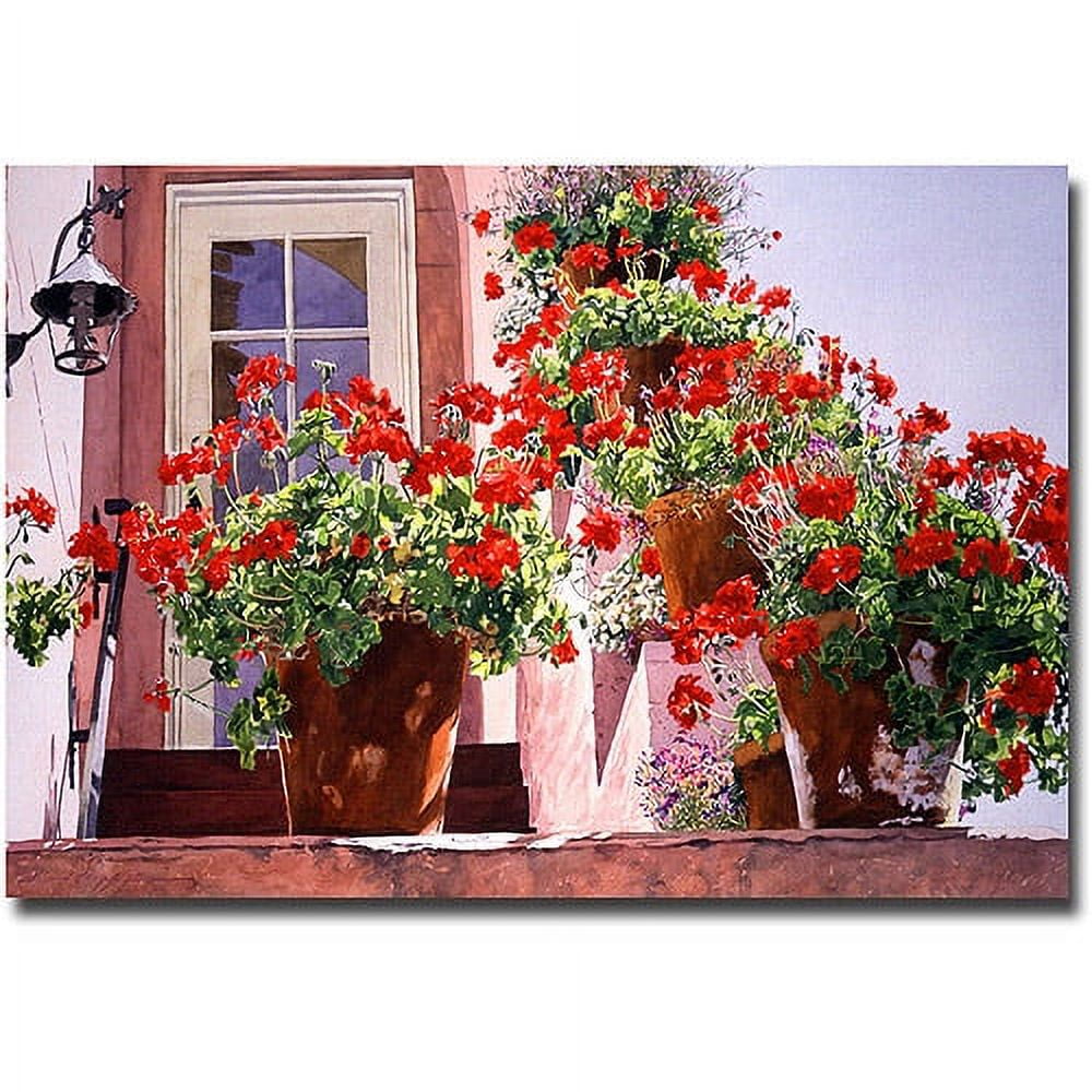 Geraniums on the Stairs Canvas Wall Art, 32" x 22"