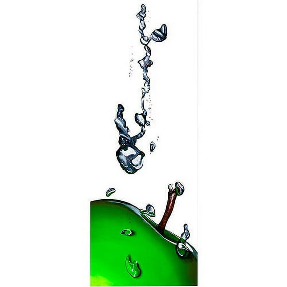 Trademark Art "Granny Splash II" Canvas Art by Roderick Stevens, 12x32