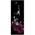 thumbnail image 1 of Trademark Art "Grapes Splash" Canvas Art by Roderick Stevens, 12x32, 1 of 1