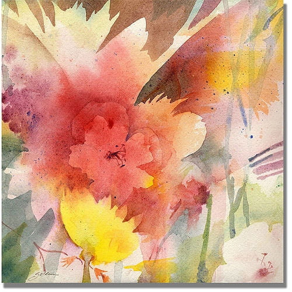Trademark Art "Hibiscus Shadows" Canvas Wall Art by Shelia Golden
