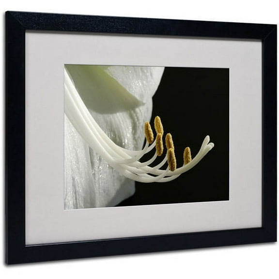 Trademark Art 'Intimate Amaryllis' Matted Framed Art by Kurt Shaffer