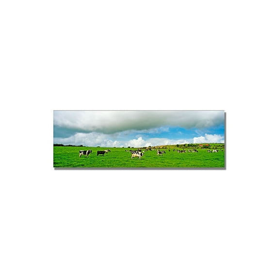 Trademark Art "Irish Countryside" Canvas Wall Art by Preston