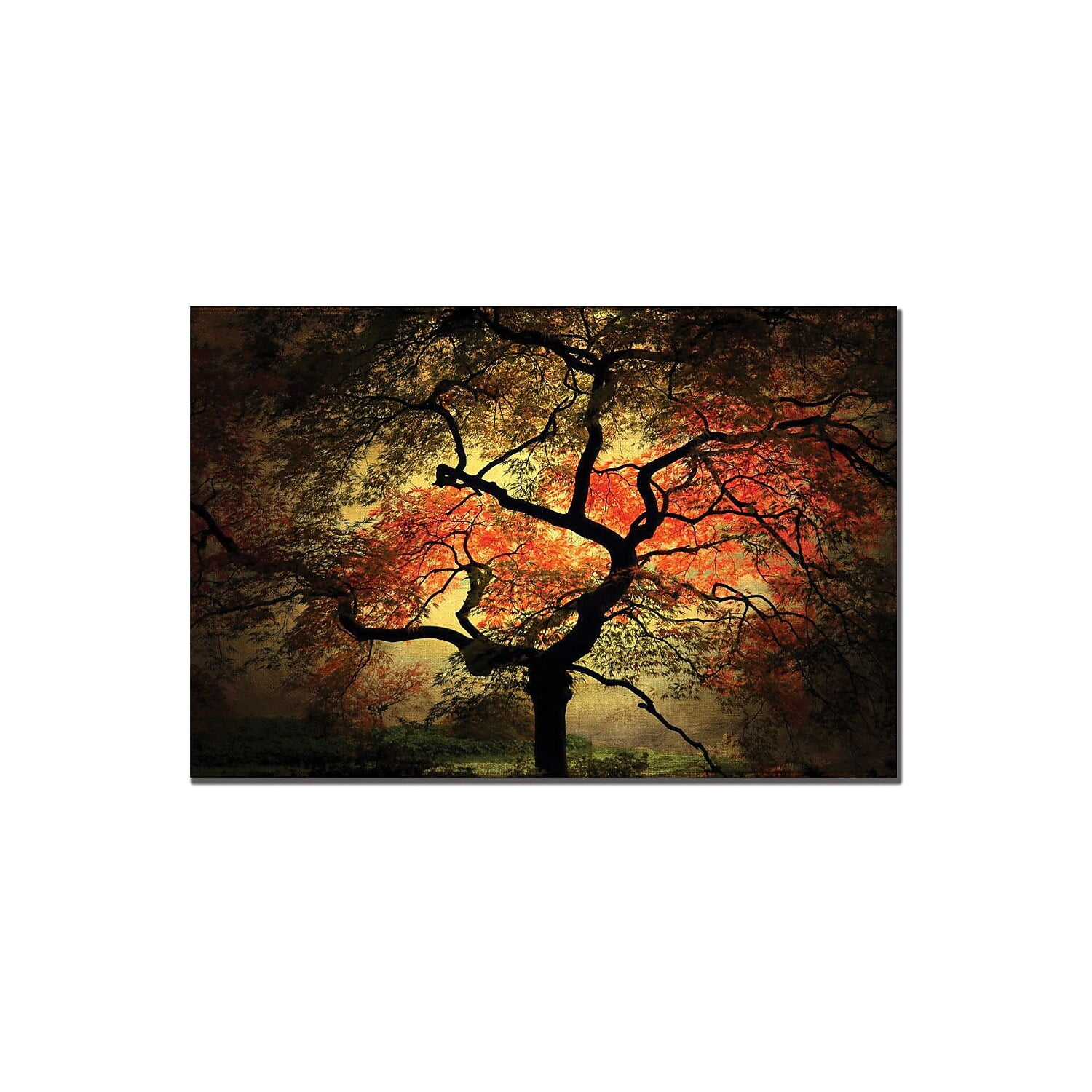 Autumn Japanese Tree Landscape Canvas Art in 19" x 14" Frame