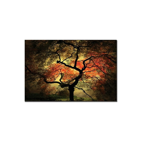 Trademark Art "Japanese I" Canvas Art by Philippe Sainte-Laudy