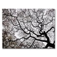 thumbnail image 1 of Trademark Art "Japanese Maple Spring Abstract II" Canvas Art by Kurt Shaffer, 1 of 3
