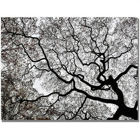 Trademark Art "Japanese Maple Spring Abstract II" Canvas Art by Kurt Shaffer