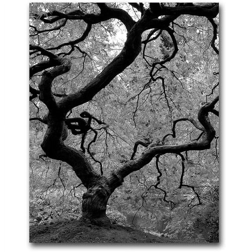 Japanese Tree II Black and White Canvas Art in Wooden Frame