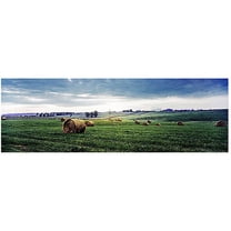 Trademark Art "Kentucky Sunrise I" Canvas Art by Preston