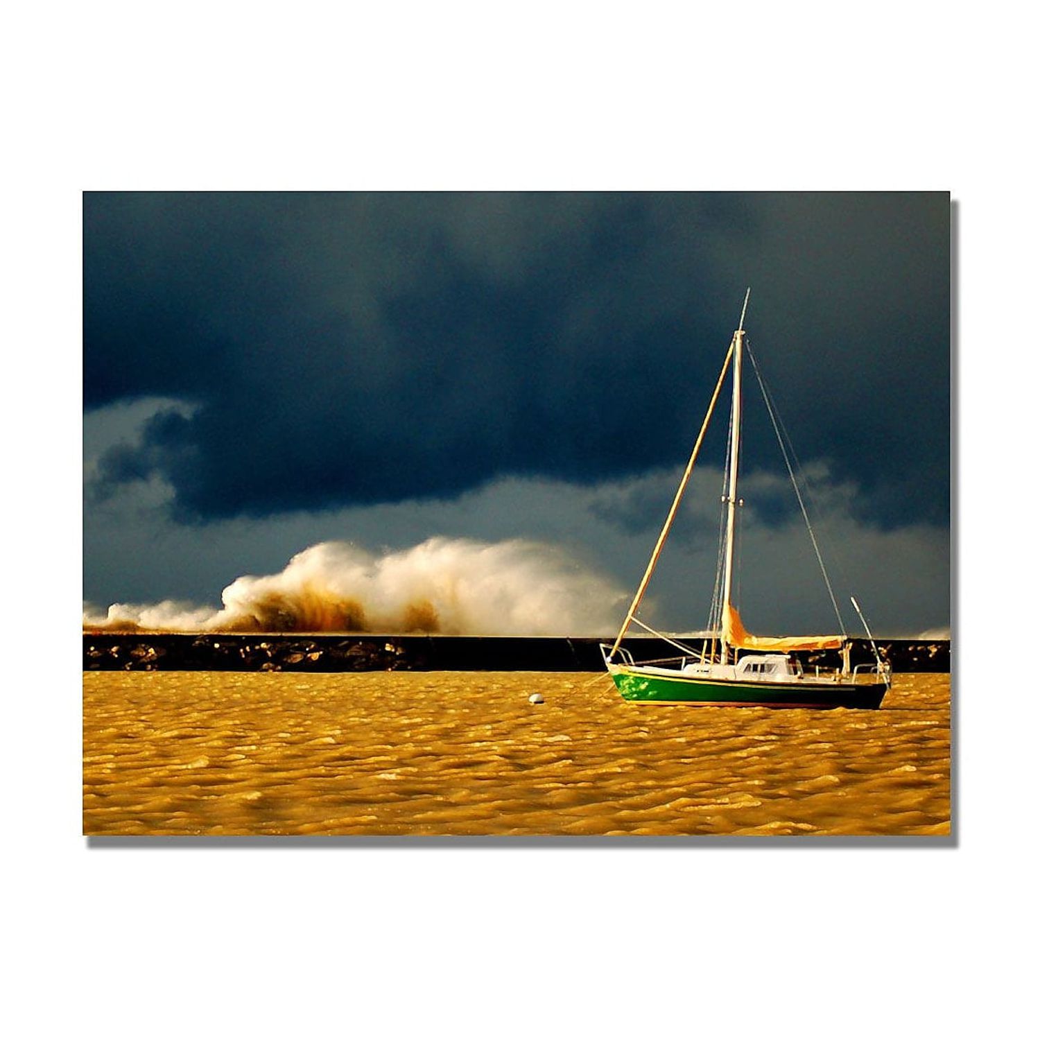 Trademark Art "Lake Erie Storm" Canvas Wall Art by Nicole Dietz