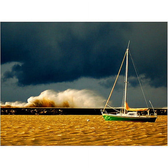 Trademark Art "Lake Erie Storm" Canvas Wall Art by Nicole Dietz