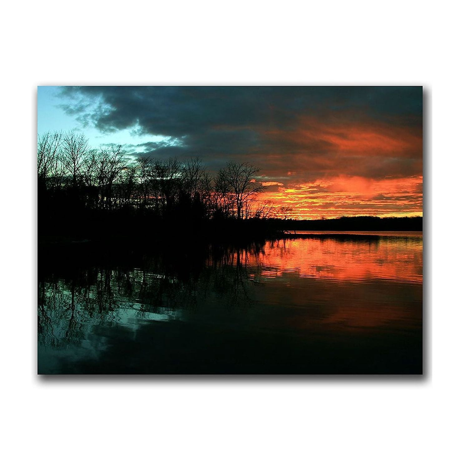 Trademark Art "Life" Canvas Art by CATeyes