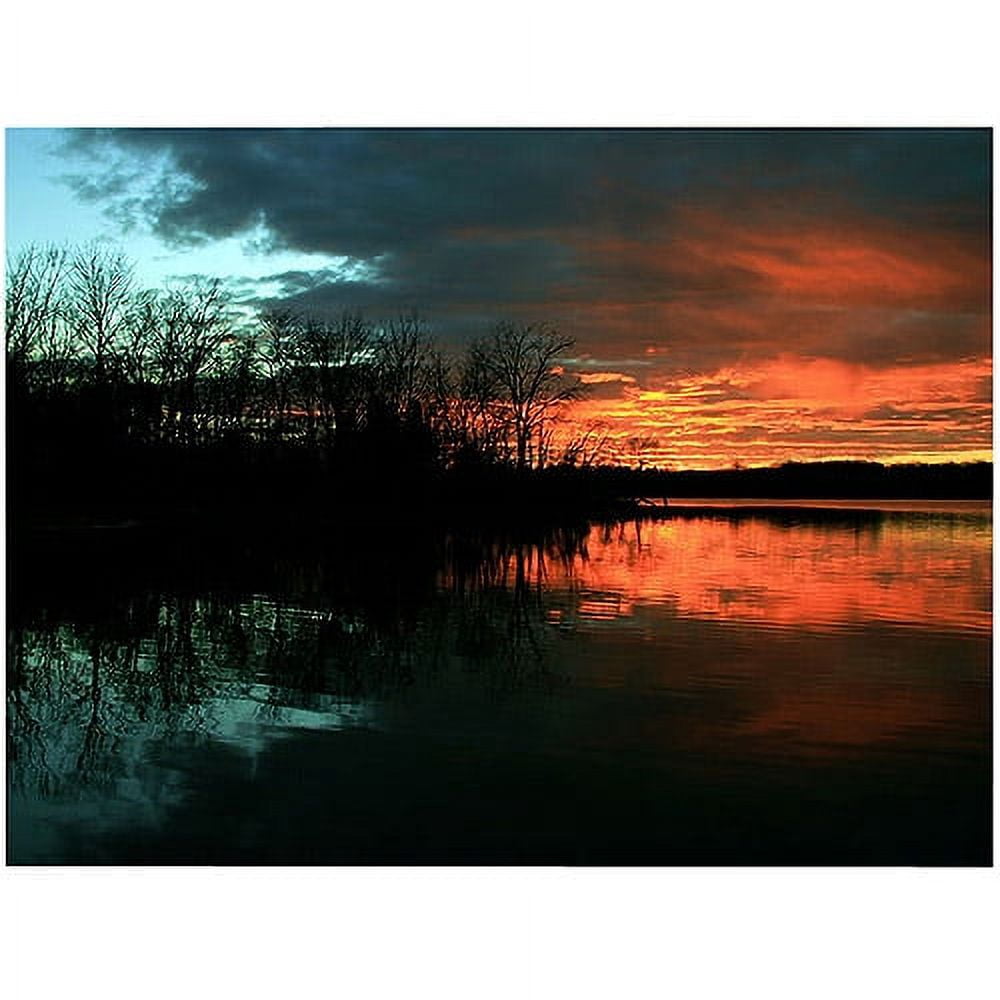 Trademark Art "Life" Canvas Art by CATeyes