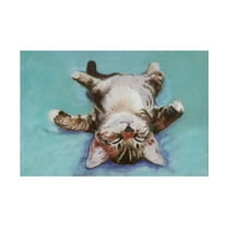 Trademark Fine Art Pat Saunders-White Little Napper Canvas Wall Art - 24x36