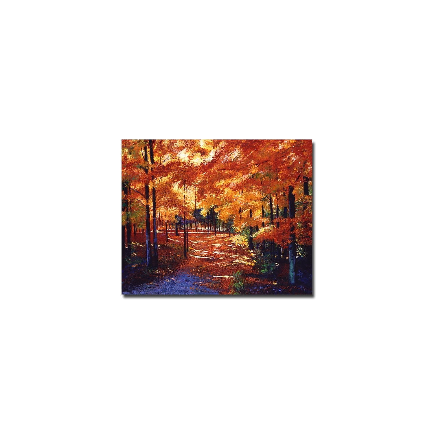 Trademark Art "Magical Forest" Canvas Wall Art by David Lloyd Glover