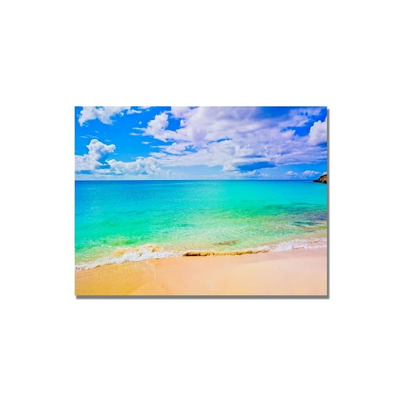 Trademark Art "Maho Beach" Canvas Wall Art by Preston
