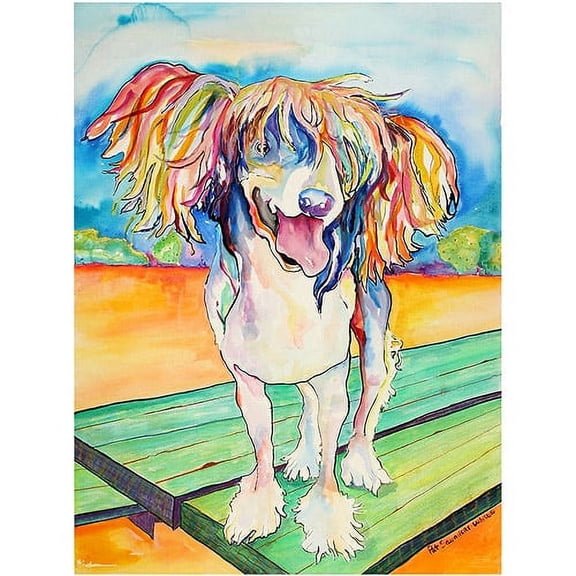 Trademark Art "Mango Salsa" Canvas Art by Pat Saunders-White