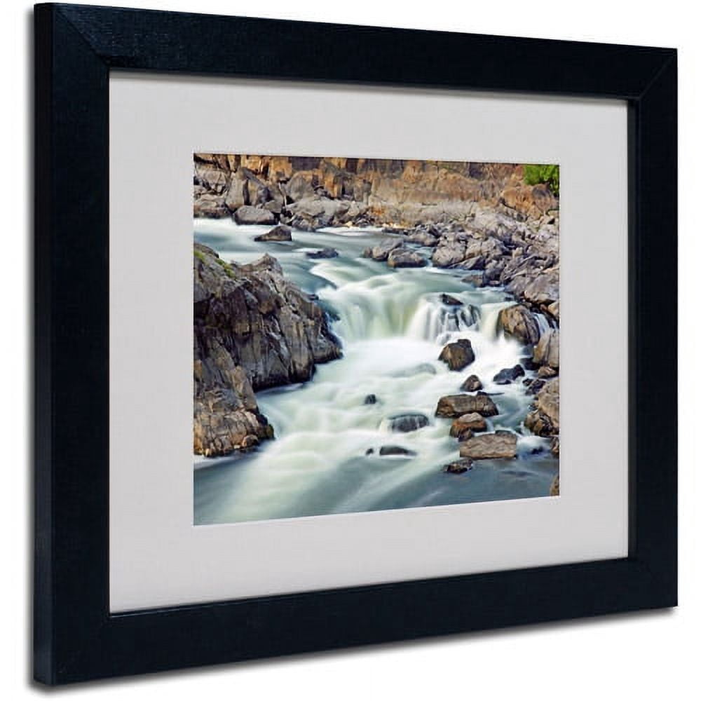Trademark Art Matted Framed Art by CATeyes 'A Treasure