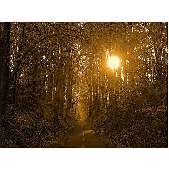 Trademark Art "Morning Awaits II" Canvas Art by CATeyes