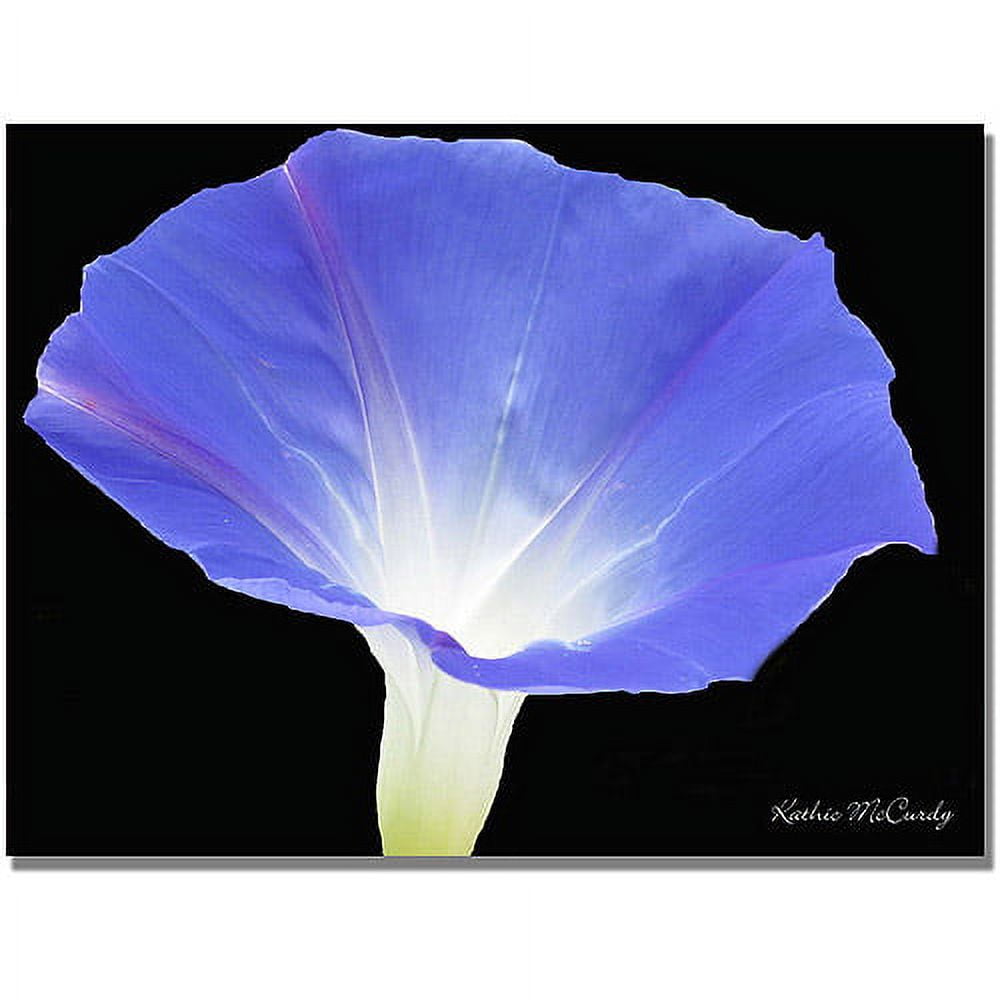 Trademark Art "Morning Glory" Canvas Wall Art by Kathie McCurdy