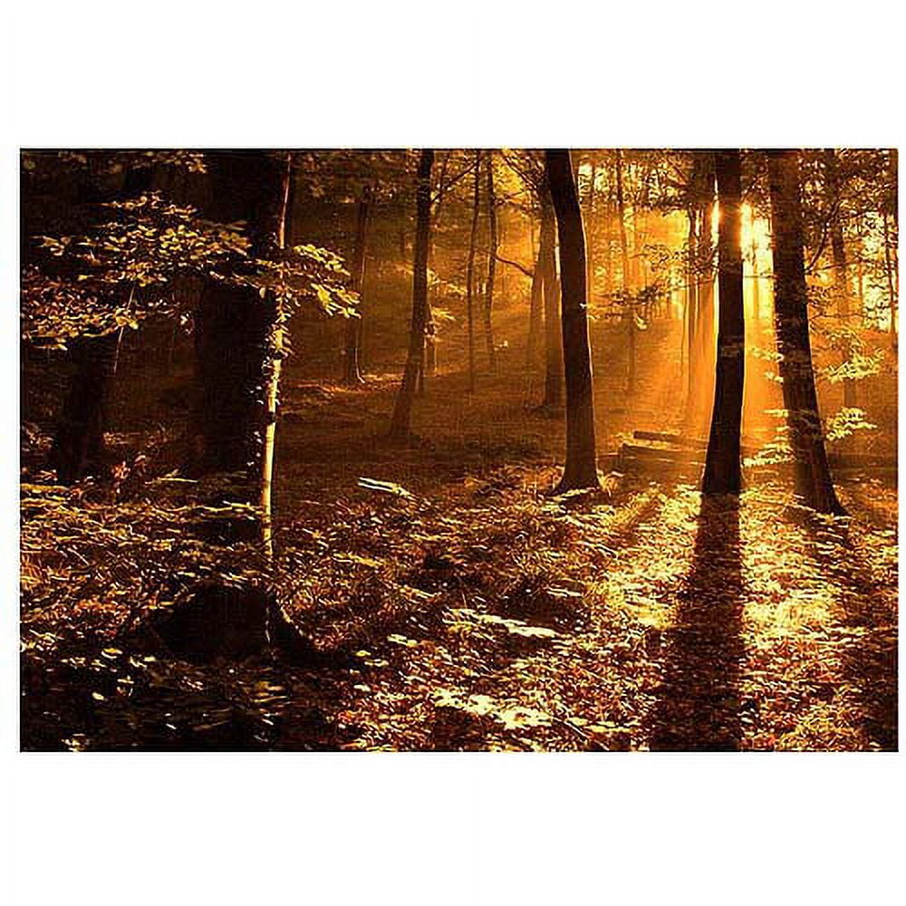 Trademark Art "Morning Light" Canvas Art by Philippe Sainte-Laudy