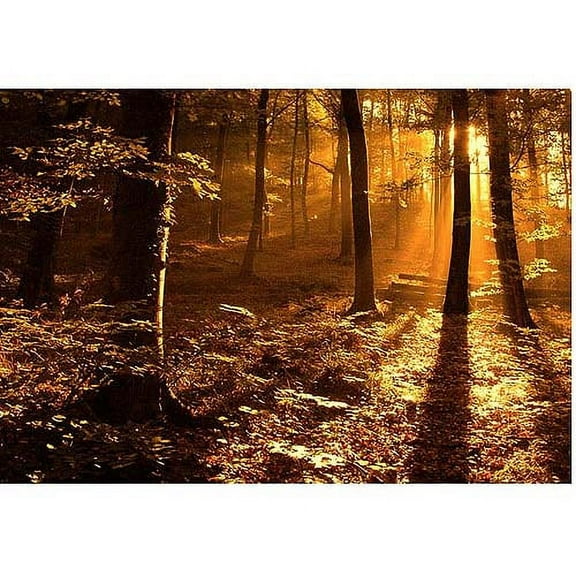 Trademark Art "Morning Light" Canvas Art by Philippe Sainte-Laudy