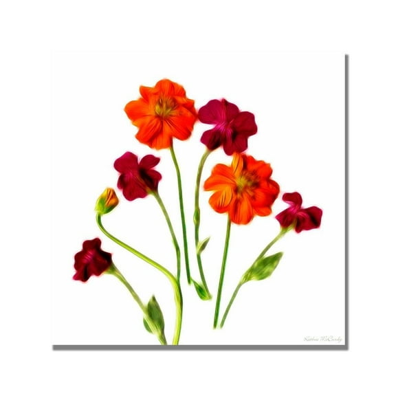 Trademark Art "Orange Cosmos" Canvas Art by Kathie McCurdy