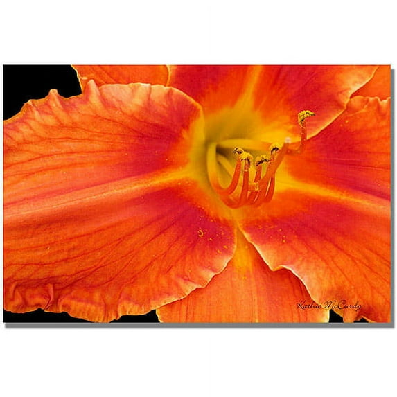Trademark Art "Orange Day Lily" Canvas Wall Art by Kathie McCurdy