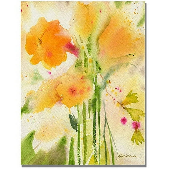 Trademark Art "Orange Flowers" Canvas Art by Shelia Golden
