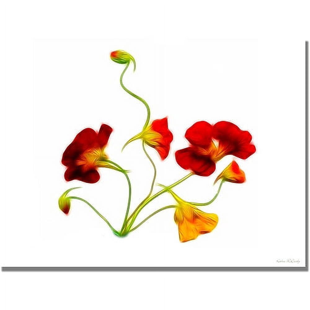 Trademark Art "Orange and Yellow Nasturtiums" Canvas Art by Kathie McCurdy